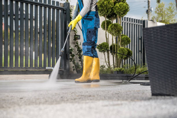 Best Fence Cleaning  in Addison, IL